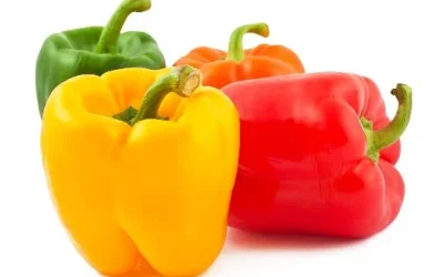 Manfaat Paprika Untuk Mengontrol Diabetes