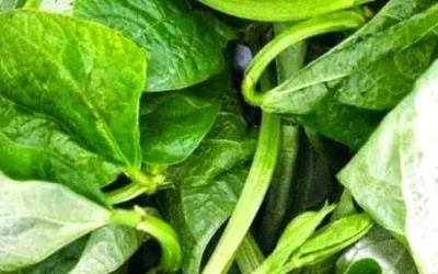 Manfaat Sayur Lembayung Bagi Kesehatan Dan Kandungan Gizinya