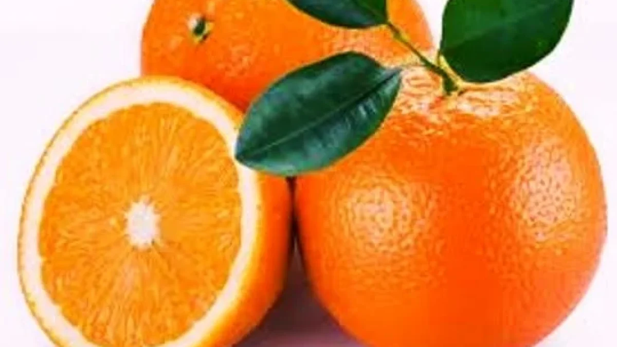 Mengulas Manfaat Buah Jeruk Bagi Kecantikan Dan Kesehatan