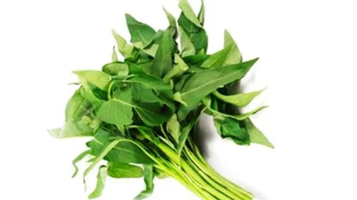 Manfaat kangkung Untuk Mencegah Diabetes Dan Meningkatkan Kualitas Otak