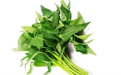 Manfaat kangkung Untuk Mencegah Diabetes Dan Meningkatkan Kualitas Otak