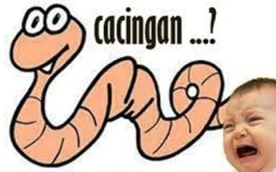 Cacingan Pada Anak Dan Pengobatannya