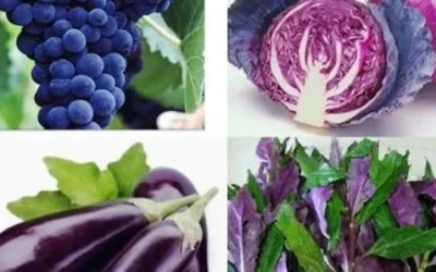 5 Macam Buah Dan Sayur Berwarna Biru Dan Ungu Mampu Meningkatkan Produksi Sel Darah Merah Dan Darah Putih