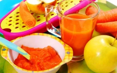 Cara Pemberian Makanan Kepada Bayi