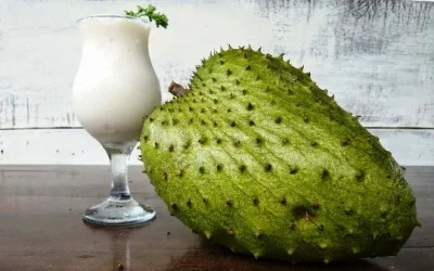 Manfaat Jus Sirsak, Mampu Menangkal Radikal Bebas Sampai Menyehatkan Otak
