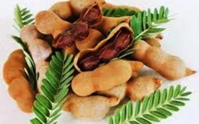 Cara Cepat Turunkan Berat Badan Dengan Asam Jawa