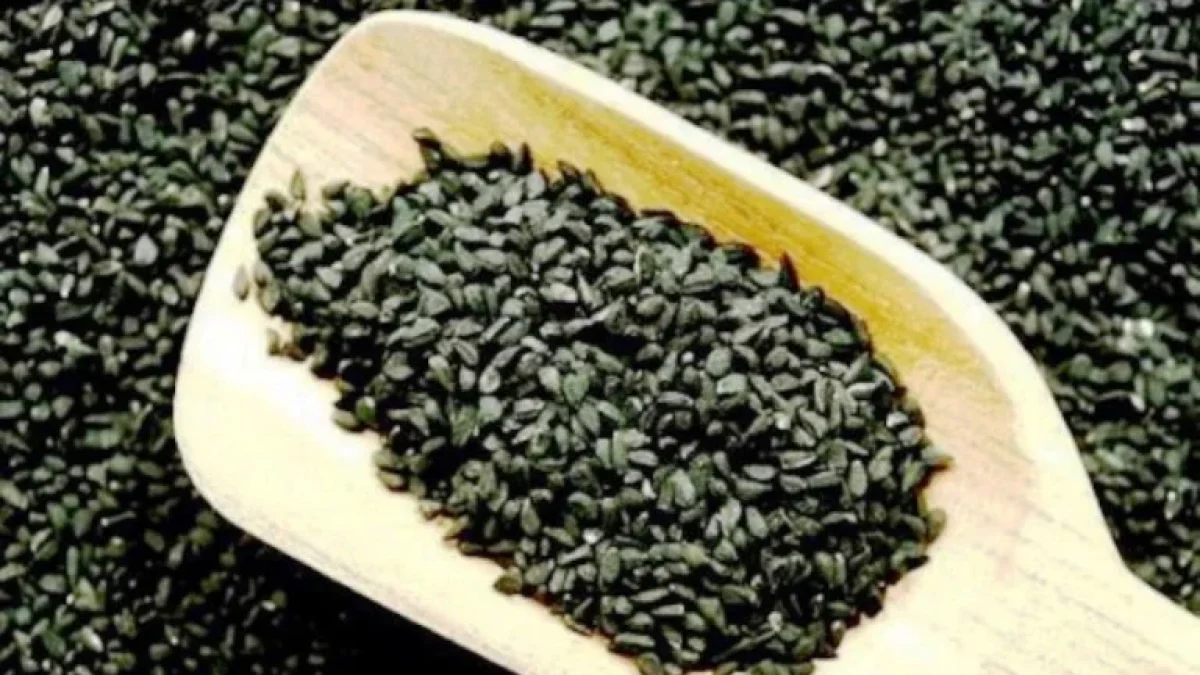 Cepat Turunkan Berat Badan Dengan Jinten Hitam