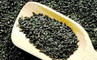 Cepat Turunkan Berat Badan Dengan Jinten Hitam