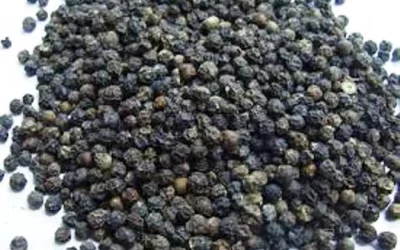 Cara Cepat Turunkan Berat Badan Dengan Lada Hitam