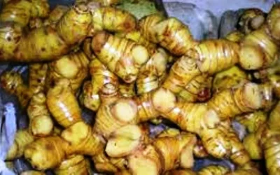 Cara Pembuatan Masker Temugiring Untuk Kecantikan Kulit