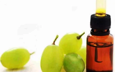 Minyak Biji Anggur Sebagai Anti Penuaan Dini