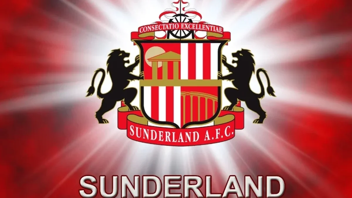 Prediksi Sunderland VS Tottenham Spurs, Jadwal Liga Inggris 2016/2017 Pekan Ke 23