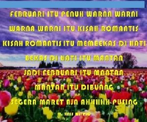 dp bbm ws anis 3