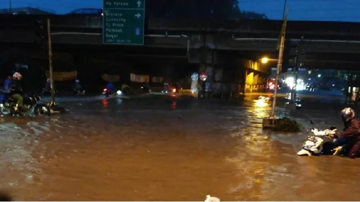 Solusi Banjir Jakarta: Antara Ahok, Anies, Kepala BNPB dan Pakar Tata Kota