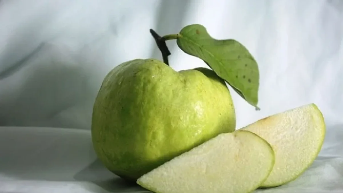 Inilah Manfaat Buah Jambu Kristal Untuk Kesehatan