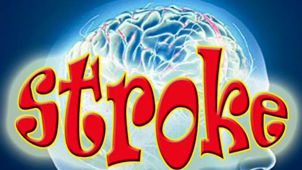 Jenis dan Faktor Risiko Penyakit Stroke