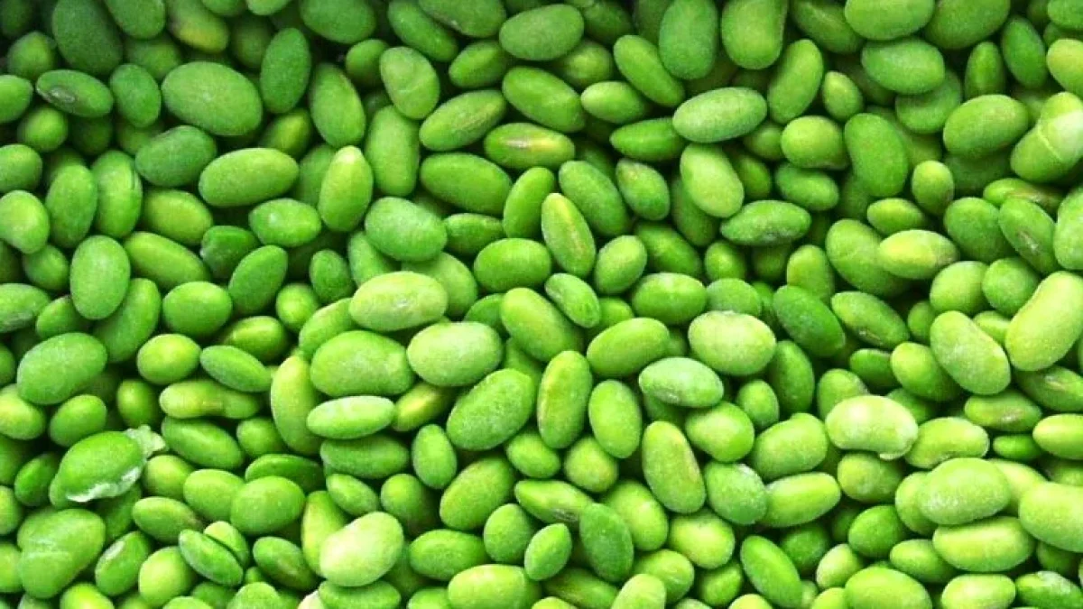Manfaat Edamame (Kedelai Jepang) Dengan 9 Asam Amino Esensial Untuk Kesehatan