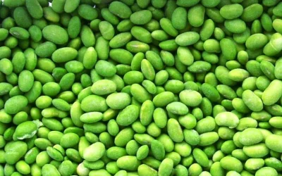 Manfaat Edamame (Kedelai Jepang) Dengan 9  Asam Amino Esensial Untuk Kesehatan