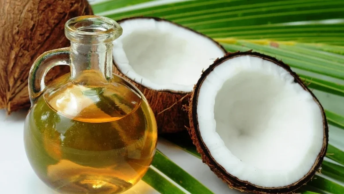 Manfaat Virgin Coconut Oil (VCO) Untuk Kecantikan