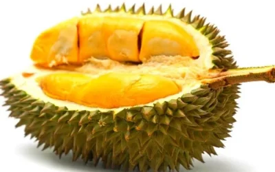 Daftar Buah Yang Harus Dihindari Oleh Ibu Hamil
