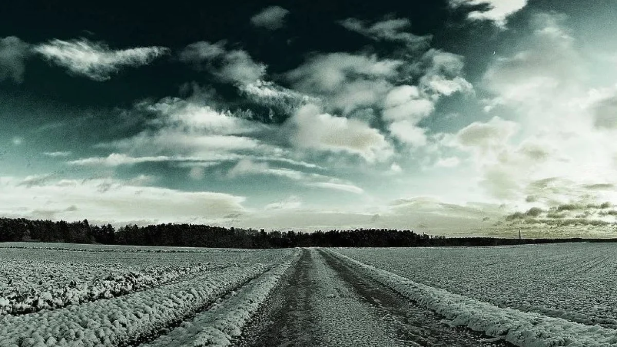 Kumpulan Gambar DP BBM Lucu Jomblo Ngenes Terbaru 2017