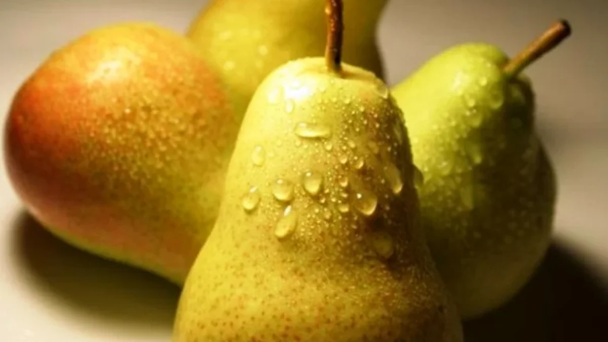 Manfaat Nutrisi Dalam Buah Pir Untuk Ibu Hamil Dan Janin