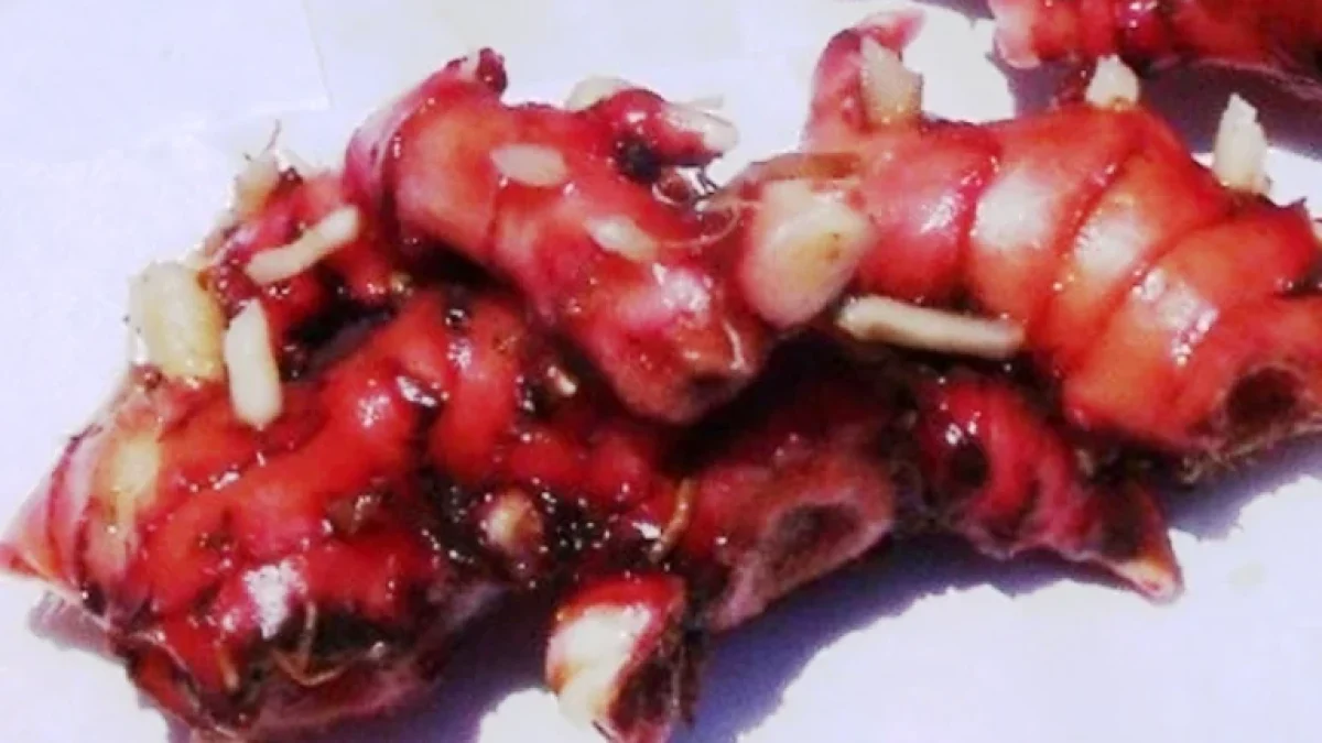 Manfaat Jahe Merah Mampu Mengatasi Rematik Dan Baik Untuk Diet