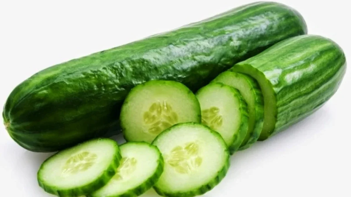 Manfaat Timun, Kandungan Nutrisi Serta Efek Samping Bagi Kesehatan