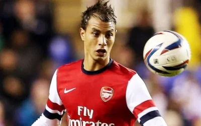 Persib Bandung Kebanjiran Tawaran Penyerang Kelas Dunia (Marouane Chamakh)