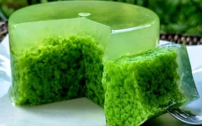 Resep Dan Cara Membuat Puding Lumut Cantik Banget Bikin Ngiler