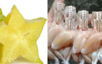 Daftar Makanan Paling Berbahaya di Dunia, Blimbing Hingga Kodok