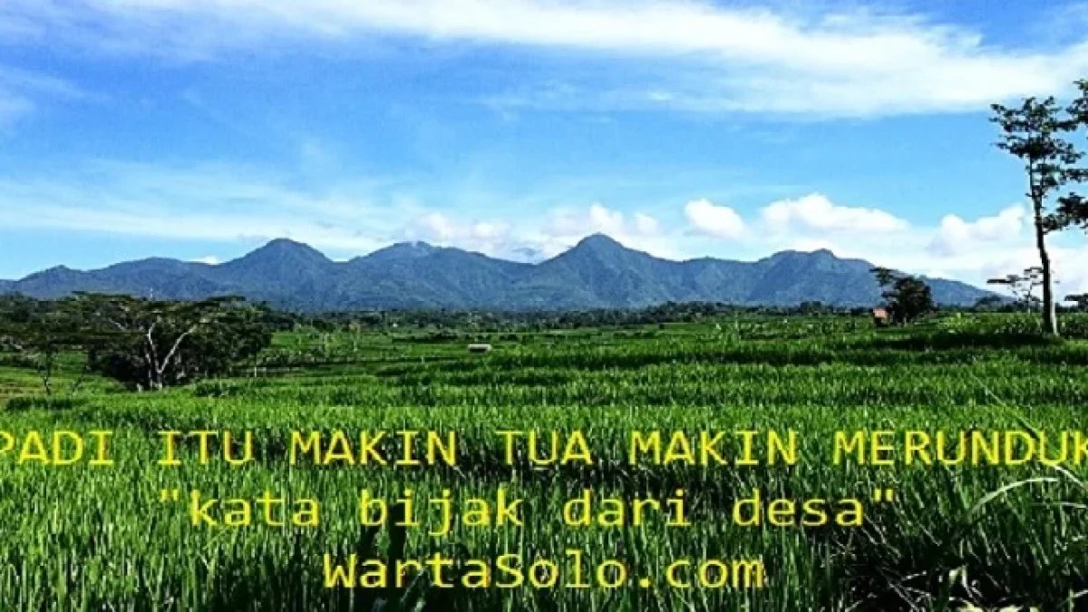Kata-kata Bijak Tengah Bulan: Mutiara Terpendam Separo Perjalanan, Maju Terus