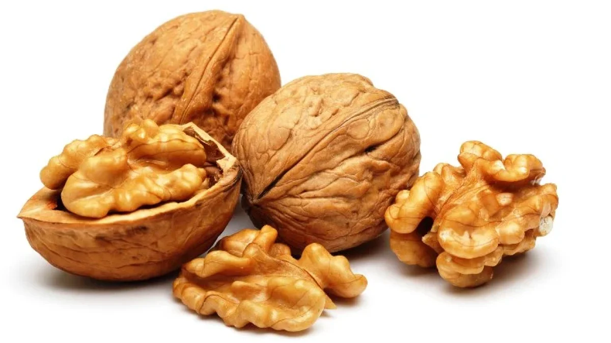 Manfaat Kacang Pecan Untuk Kesehatan Serta Kandungan Gizinya