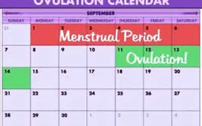 Tips Aman Menunda Momongan Dengan Menggunakan Sistem Kalender (KB Alami)