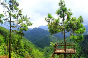 wisata baru rumah pohon banyu anyep 5