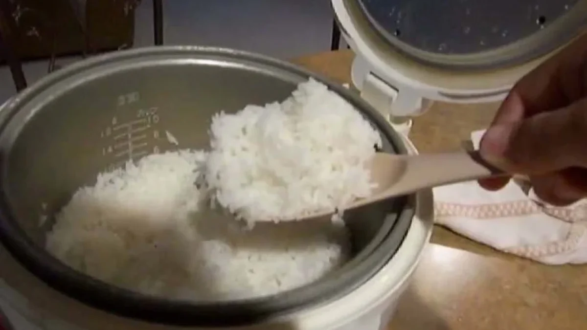 Cara Atasi Nasi Ricecooker Cepat Basi: Cek Salah Satunya