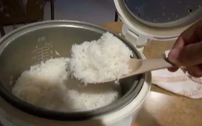 Cara Atasi Nasi Ricecooker Cepat Basi: Cek Salah Satunya