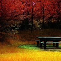 Informasi tentang DP BBM Kata Bijak Awal Bulan Juni dari 