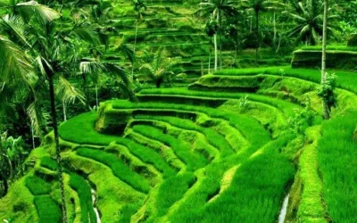 Jadwal Imsak Trenggalek Jawa Timur Puasa Ramadhan 2020 1441 H