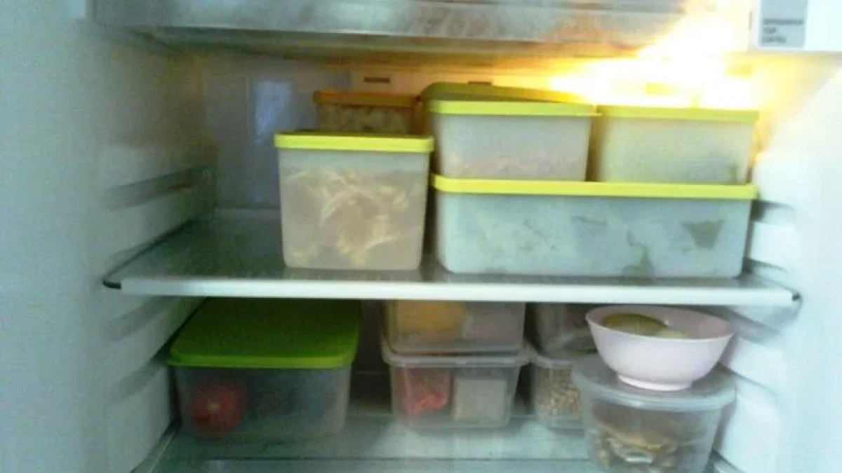 Tips Menyimpan Makanan Dalam Kulkas Sesuai Jenisnya