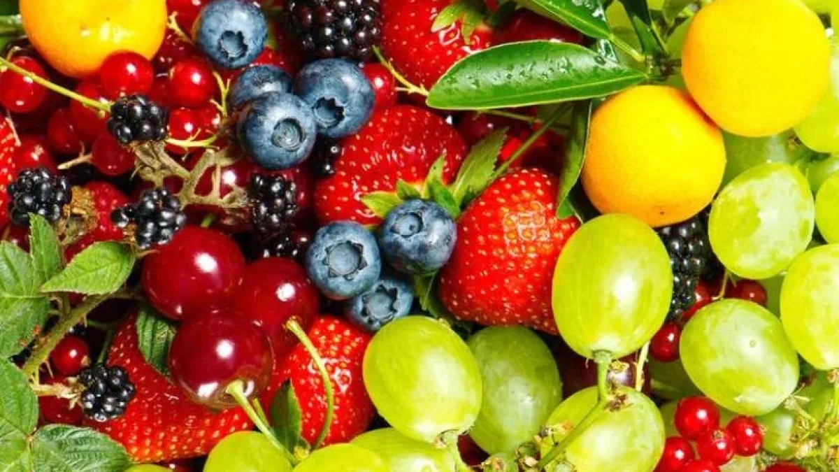 44 Macam Buah-buahan Beserta Manfaatnya Untuk Kesehatan Dan Kecantikan
