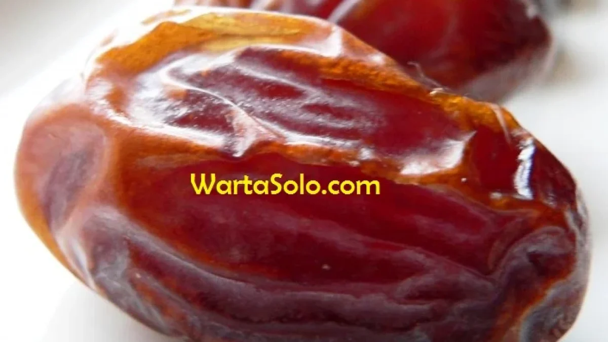 Harga Kurma Khalas Terbaru Lebaran Sekarang Bandingkan Palm Fruit Hanya 55 rb