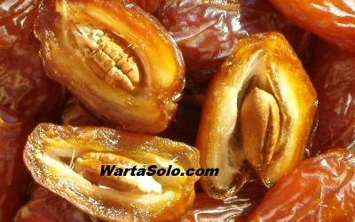 Harga Kurma Medjool Terbaru Juni 2026 Besar Buahnya Elegan Rasanya