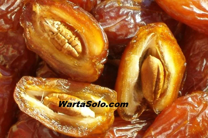 Harga Kurma Medjool Terbaru Juni 2026 Besar Buahnya Elegan Rasanya