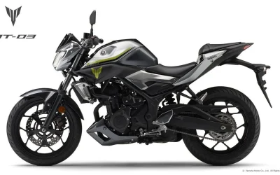 Harga Yamaha MT-25 Terbaru Juni 2026, Spesifikasi Mesin SOHC 250cc Teknologi Variable Valve Actuation (VVA)