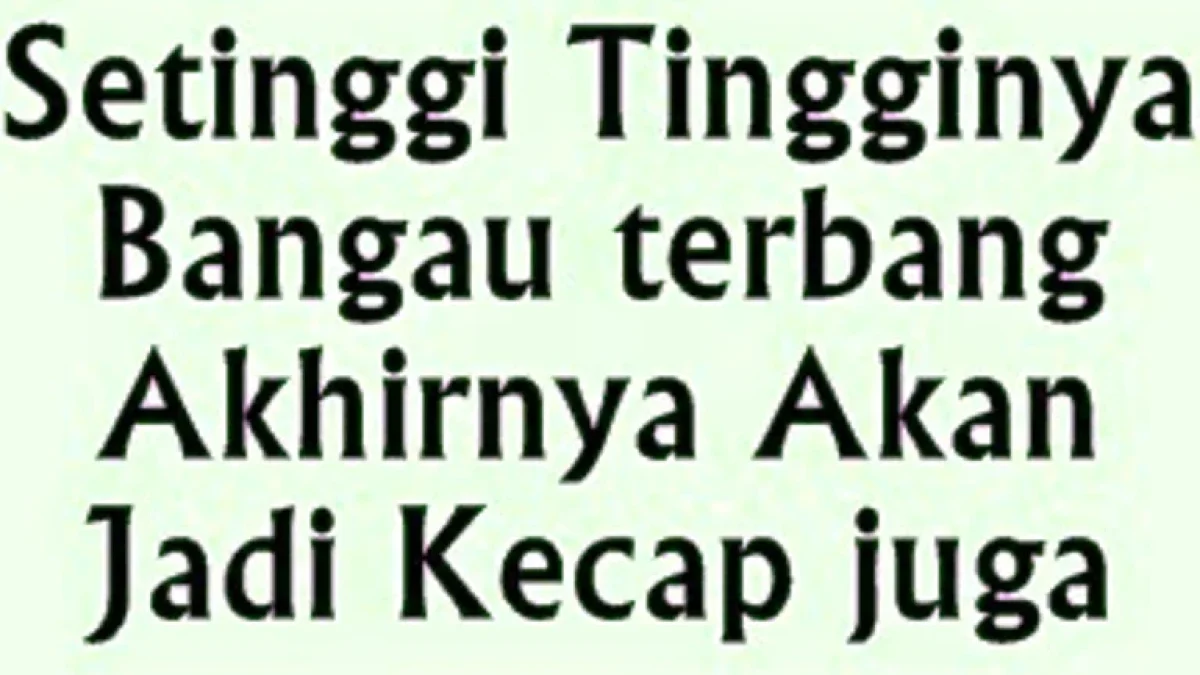 Kumpulan Kata Mutiara Lucu, Kocak Banget Bikin Perut Mulas Terbaru