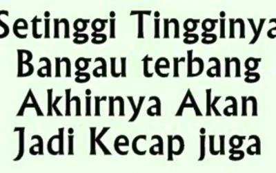 Kumpulan Kata Mutiara Lucu, Kocak Banget Bikin Perut Mulas Terbaru