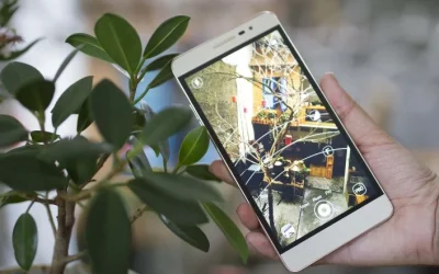 Harga Coolpad Shine Baru Bekas Agustus 2026, Spesifikasi RAM 2GB Memori Internal 8GB