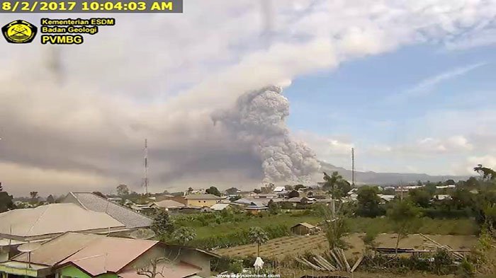 Berita Terkini Gunung Sinabung 20 Kali Erupsi