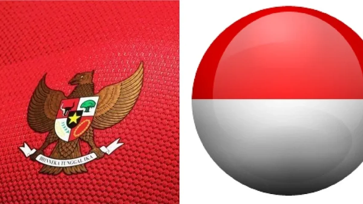 Dp Bbm Timnas Indonesia Seagames Terbaru: Caption Meme dan Gambar Animasi GIF Lucu Garuda Juara